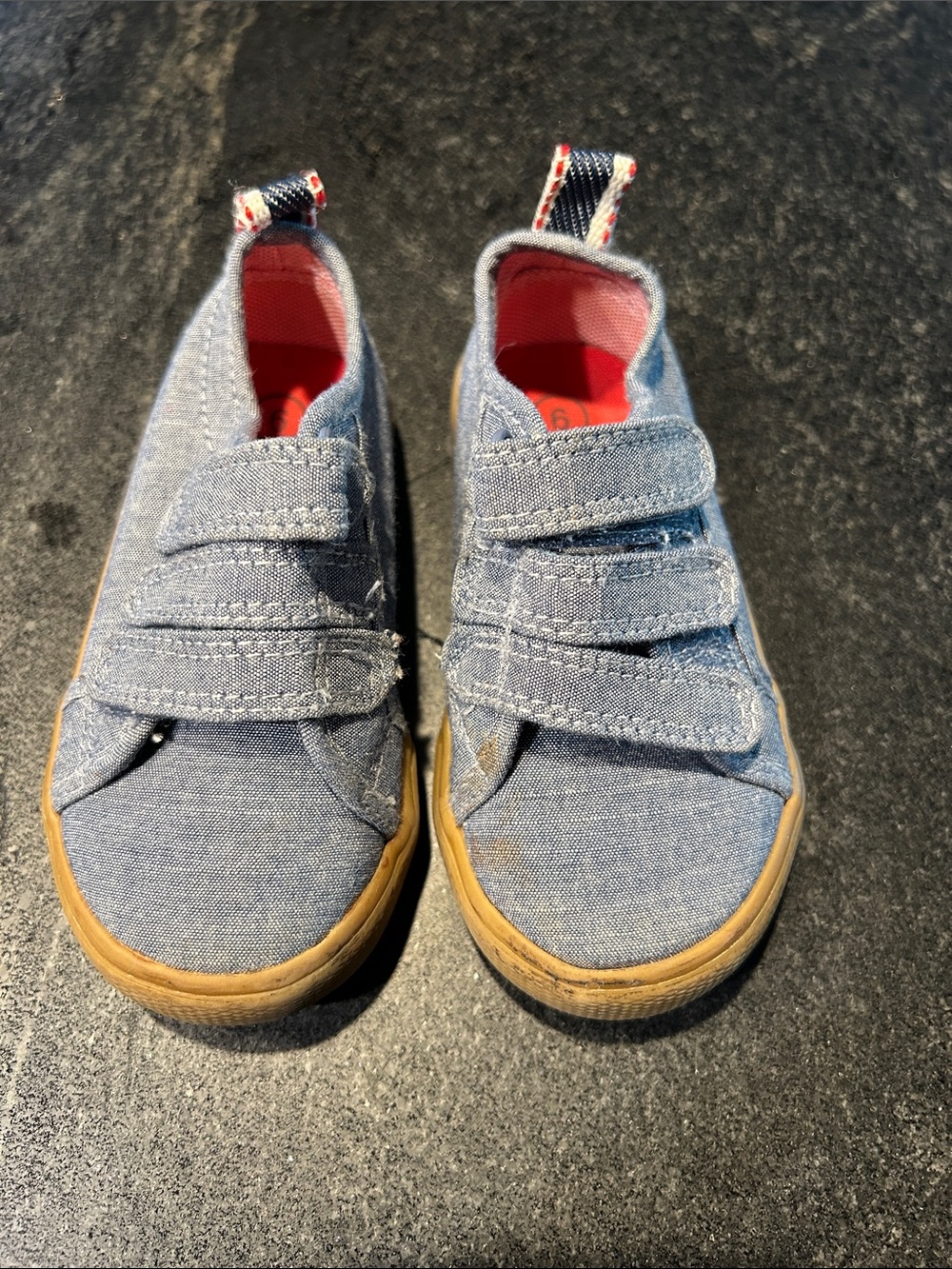 Cat & Jack Light Blue Canvas Kids Sneakers with Red Interior